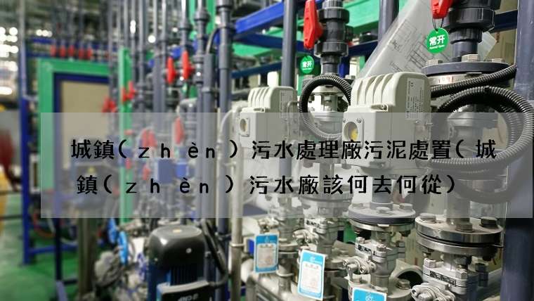 城鎮(zhèn)污水處理廠污泥處置(城鎮(zhèn)污水廠該何去何從)
